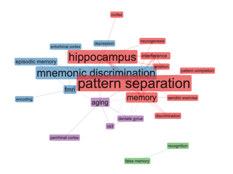 FIGURE 7. ANALYSE DES COOCCURRENCES DES MOTS CLÉS D'AUTEURS